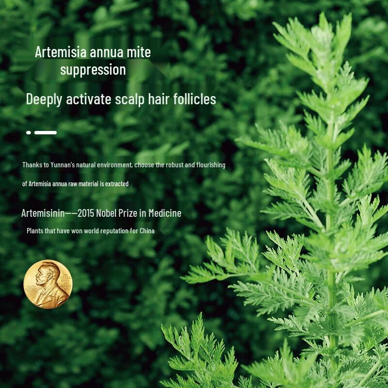 ConQUER Artemisia Anti-Dandruff & Refreshing Shampoo