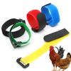 10Pcs Chicken Collars Crow Rooster Neck Belt Rooster Collar Adjustable Size Farm Chicken Identification Neck Ring