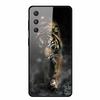 For Samsung Galaxy S25 Plus Case Hard Back Cover Tempered Glass Case For Samsung S25 Plus M55 A16 5G Phone Case Soft TPU Bumper