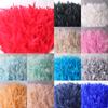 10 Meter Fluffy Colorful Turkey Feathers Fringe Turkey Feather Trim Ribbon Plume For Latin Dance Stage Wedding Sewing Diy Crafts