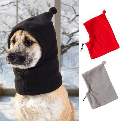 Giyim ve ayakkabı – Köpek için şapkalar