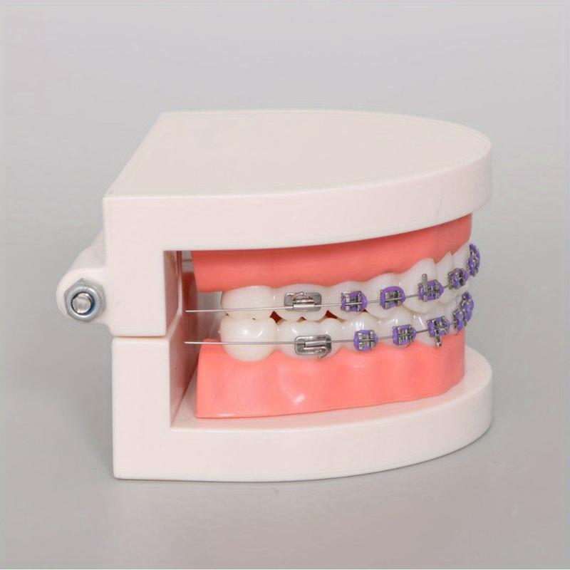 Dental Orthodontic Treatment Teeth Model with Bracket Arch Wire Buccal Tube Ligature Ties for Dentist Lab Teaching Tools