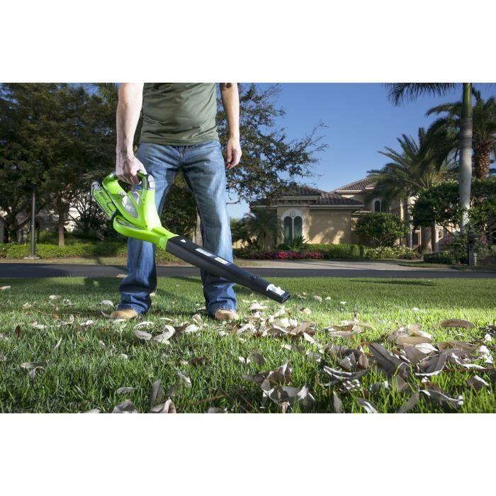 Souffleur axial greenworks g40ab 2400807ua - batterie 40v 2.0 ah et chargeur inclus