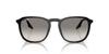 Sunglasses RB2203F BLACK 55 Ray-Ban