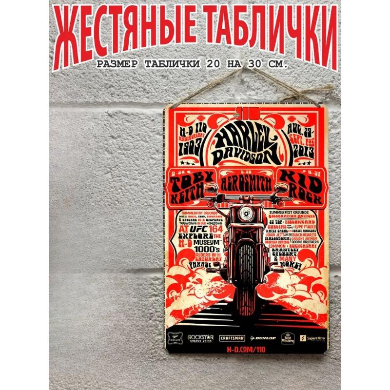 Motorcycle Metal Wall Art 20x30cm, Vintage Bike Decor Plaque