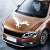 Eagles Car Decal DIY Styling Decorative Eagle Graphic Car Sticker Universal Auto Body Hood Decal