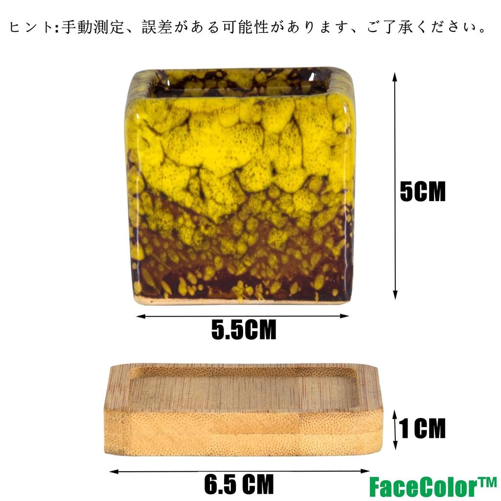 Facecolor Sukkulent Størrelse Stilig Keramisk Glasert Sett med Egnet for Innendørs og Utendørs Små Firkantet Drenering og Bunnnett Ikke Potter, 2,