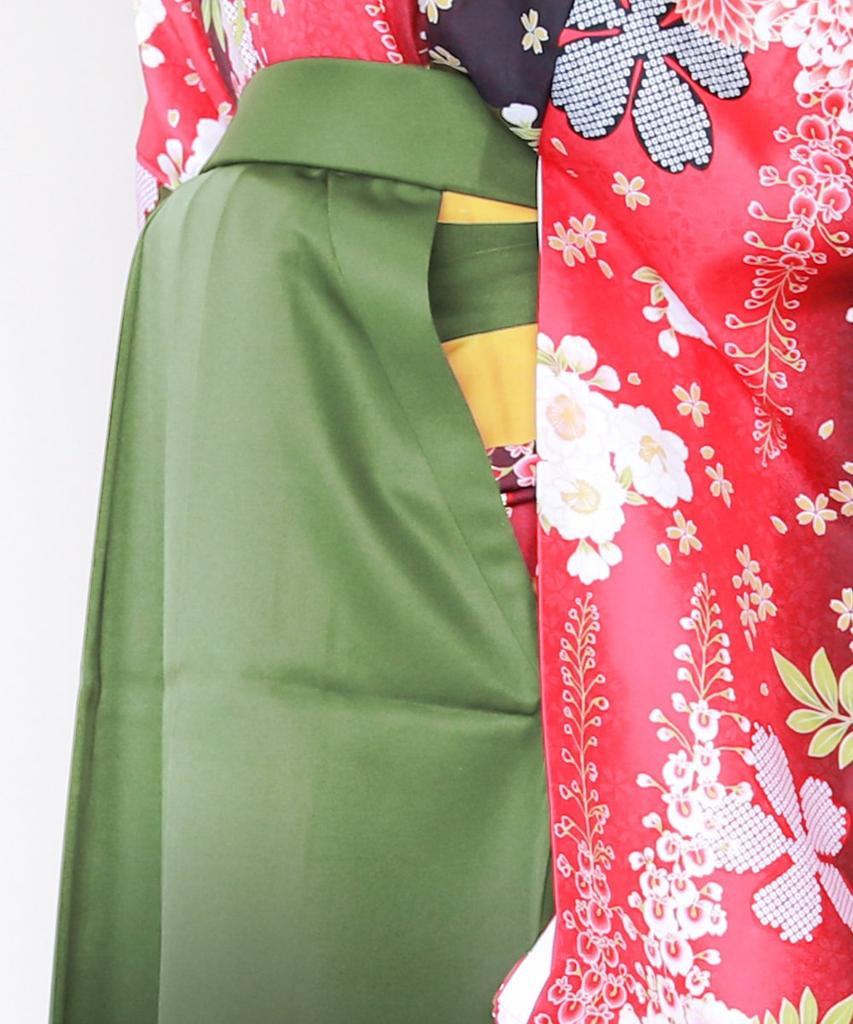 Hakama Blurred Gradient [Kyoetsu] Women's (M, Wakakusa)