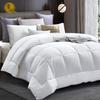 Shangxin SXBX-01 All-Season Mulberry Silk Duvet