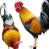 Chicken Animal Statue Stakes Acrylic Sign Floor Decoration Chicken Statue for Courtyard Yard Art Sculpture Pathway Porch Lawn