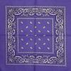 Cotton Paisley Headscarf and Cycling Mask