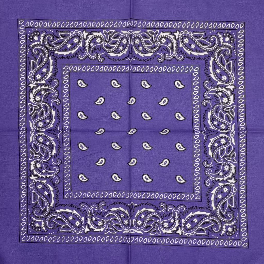 Cotton Paisley Headscarf and Cycling Mask