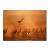 Flamingo Large Carpet Feather Wind Bedroom Floor Mat