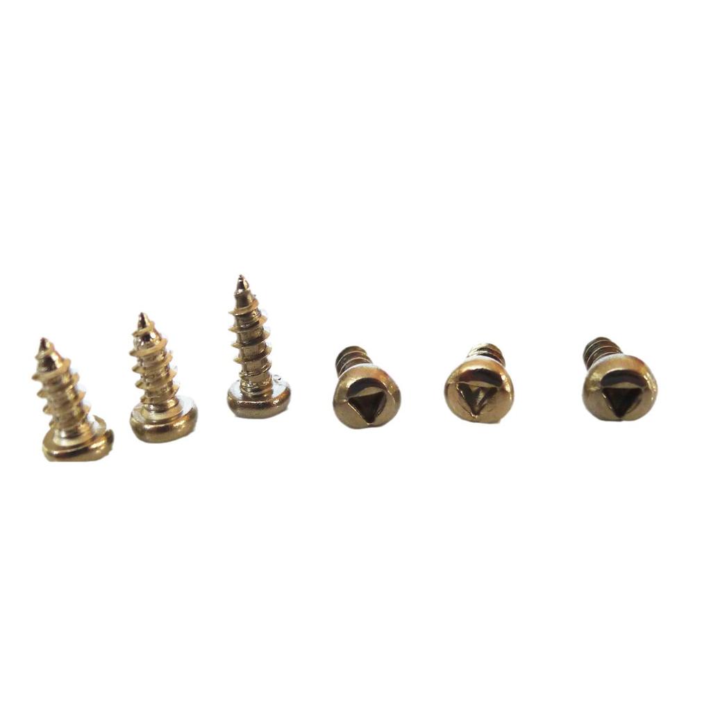 Stainless Steel Anti-Theft Tri-Groove Self-Tapping Screw M2.6 M3 M4