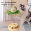 Cat Scratching Post with Spring Teasing Ball