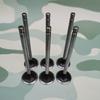 EQ1120GA Engine Intake/Exhaust Valve