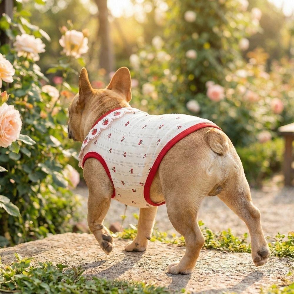 Cherry Pattern Cat Strawberry Vest Ruffled Collar Pet T-shirt Cat Lace Vest  Indoor Wear