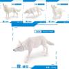 Wild Forest White Wolf Animal Pvc Static Model With Realistic Design For Collectors And Nature Enthusiasts