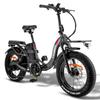 Electric Bicycle Foldable FAFREES 20" 750W Motor Top Speed 45Km/h 48V 30AH Max Range 200Km F20 X-Max