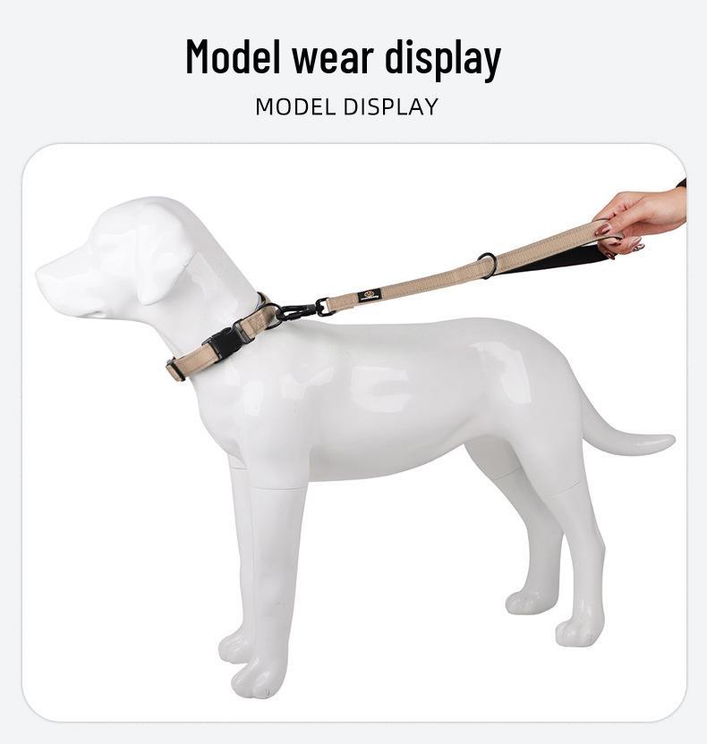 Non-Choking Nylon Dog Training Leash for Medium & Large Dogs