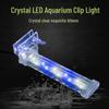 Pești și animale marine – Iluminare acvariu