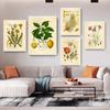 Vintage Wild Plant Canvas Malerier Botanisk Flower Study Peon Plakat og trykk Vegg Art Bilde for Stue Decor Cuadros