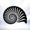 Metal Wall Sculpture Spiral Seashell Outdoor and Indoor Decor