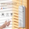 Graffiti Smart Bluetooth WiFi Remote-Controlled Curtain Motor