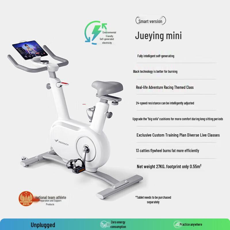 Merach Shadow Mini Spin Bike