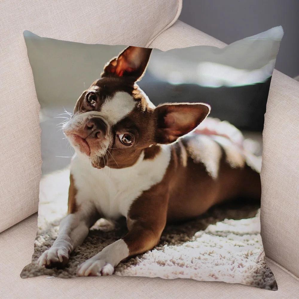 Cute Pet Mini French Bulldog Throw Pillow Cover With Short Plush Print Living Room Sofa Decoration Cushion Cover Pillow Covers