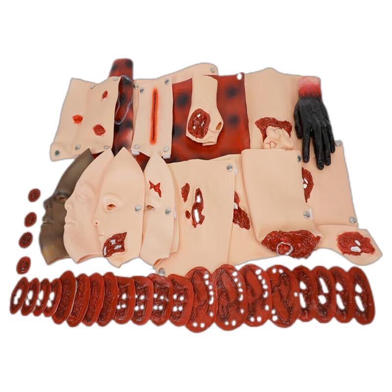 XINMAN 3-Piece Advanced Trauma Assessment Model Set