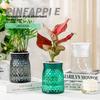 Living Room Desktop Transparent Visible Water Level Resin Flower Pot Simple Flower Arrangement Hydroponic Decoration Imitation G