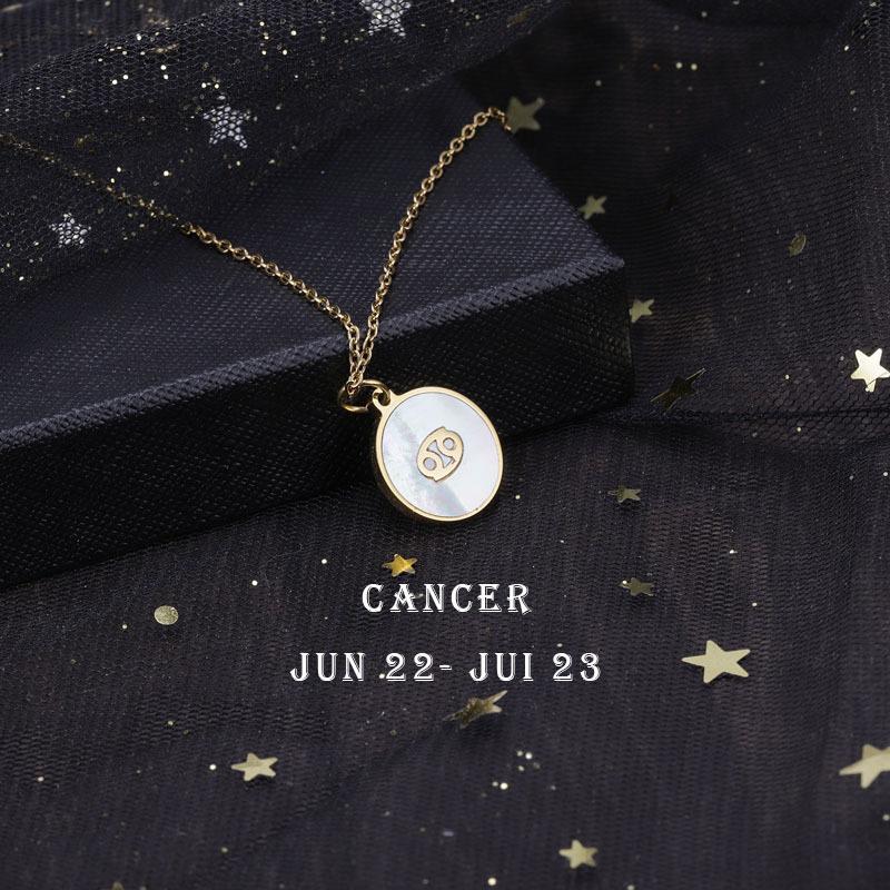 12 Constellation Symbol Titanium Steel Necklace Couple Necklace