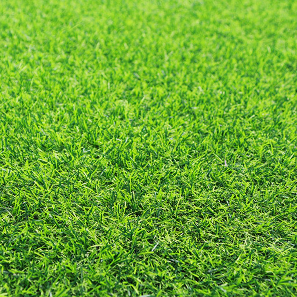 1 Square Meter 2*0.5m Thickened Artificial Turf,  1.38 Inches in Thickness. Synthetic Lawn Mat Suitable for Indoor and Outdoor Garden Landscapes.