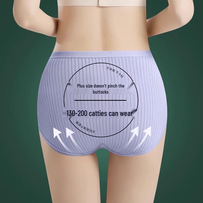 LangSha Women's Plus-Size High-Waist Cotton Underwear 3-Pack