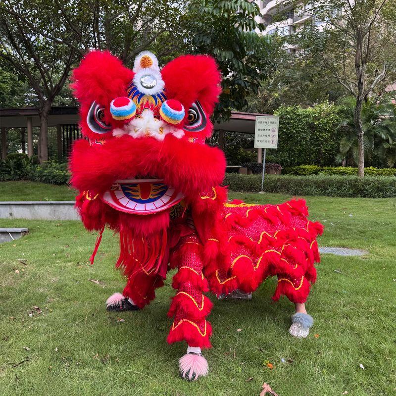 Adult Blinking Foam Lion Dance Set