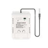 Graffiti WiFi Smart Power Temperature Switch with RF433, Remote Voice Alexa Control.