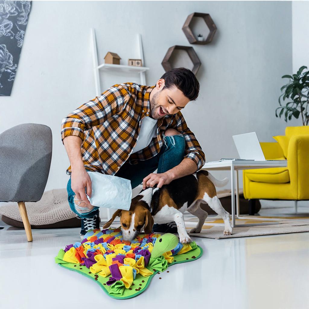 Turtle Pet Snuffle Mat Dog Olfactory Training Pad Puzzle Slow Feeder Toy