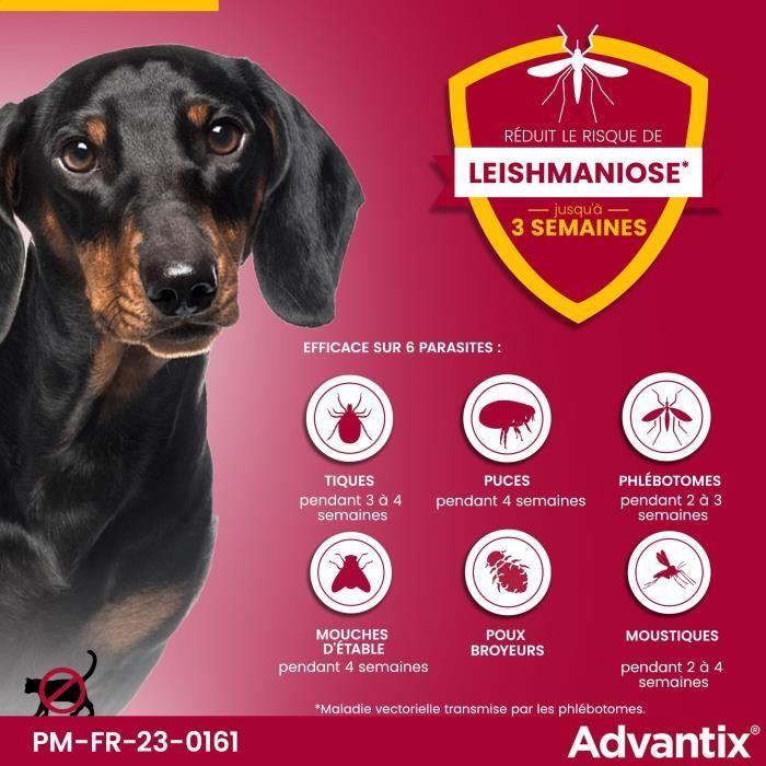 ADVANTIX Chien Solution Antiparasitaire Très Petite Race 1,5 À 4kg 6 Pipettes