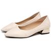 Thick heel single shoes women's low heel pointed 2025 new spring shallow mouth women's shoes flat low heel small leather shoes work shoes women