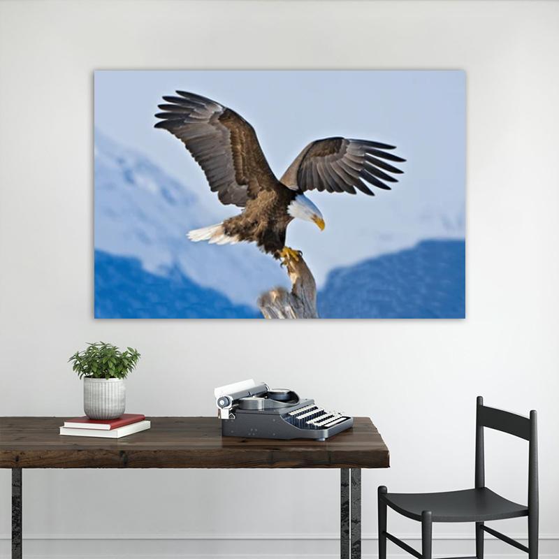 RELIABLI ART Obrazy na płótnie Latający orzeł Zdjęcia zwierząt Home Wall Art do salonu Plakaty i reprodukcje Dekoracja wnętrz