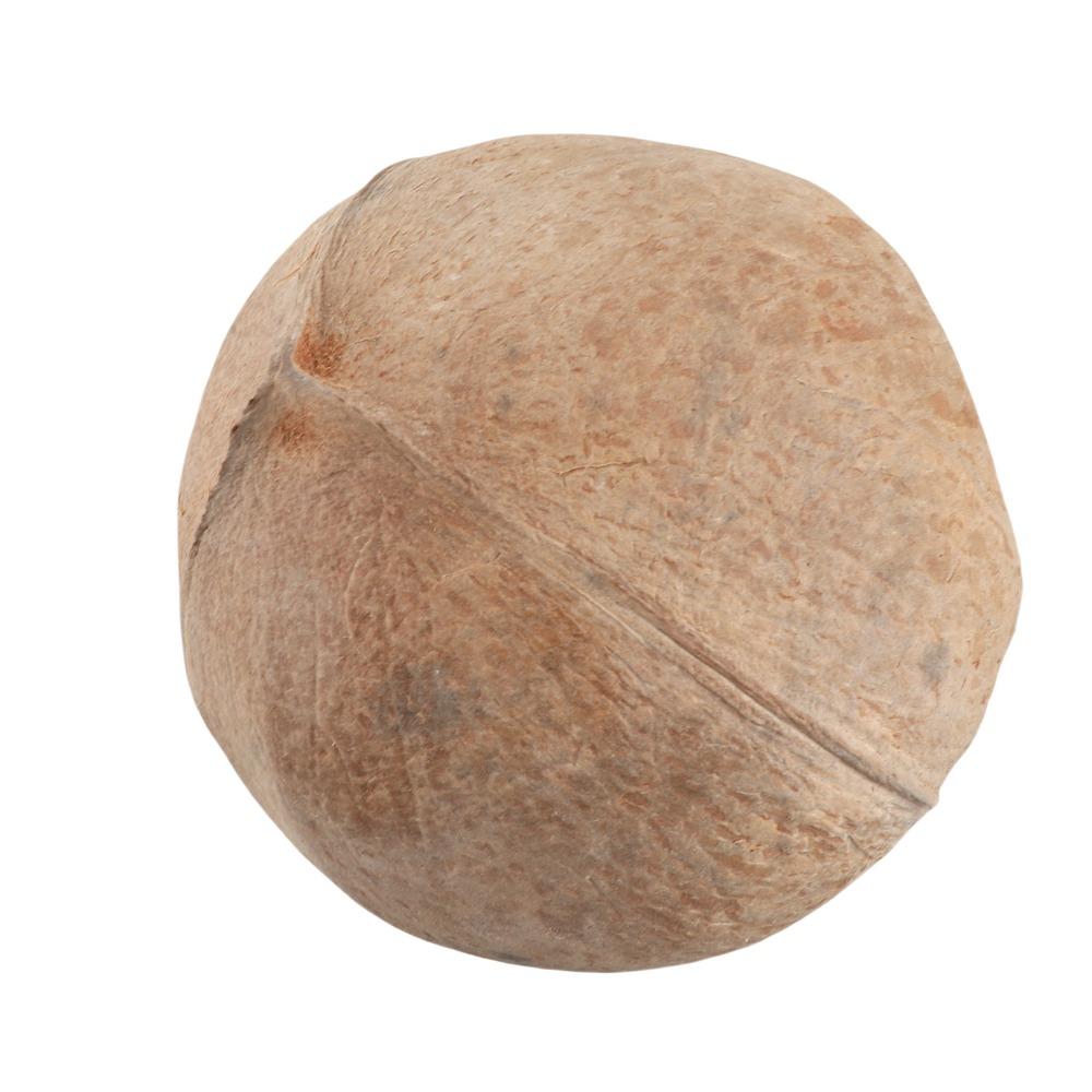 Coconut Shell Pet Birdhouses Round Entrance 6cm Sanded Finish Small Animal House Smooth Surface Enclosed Design Hamster House