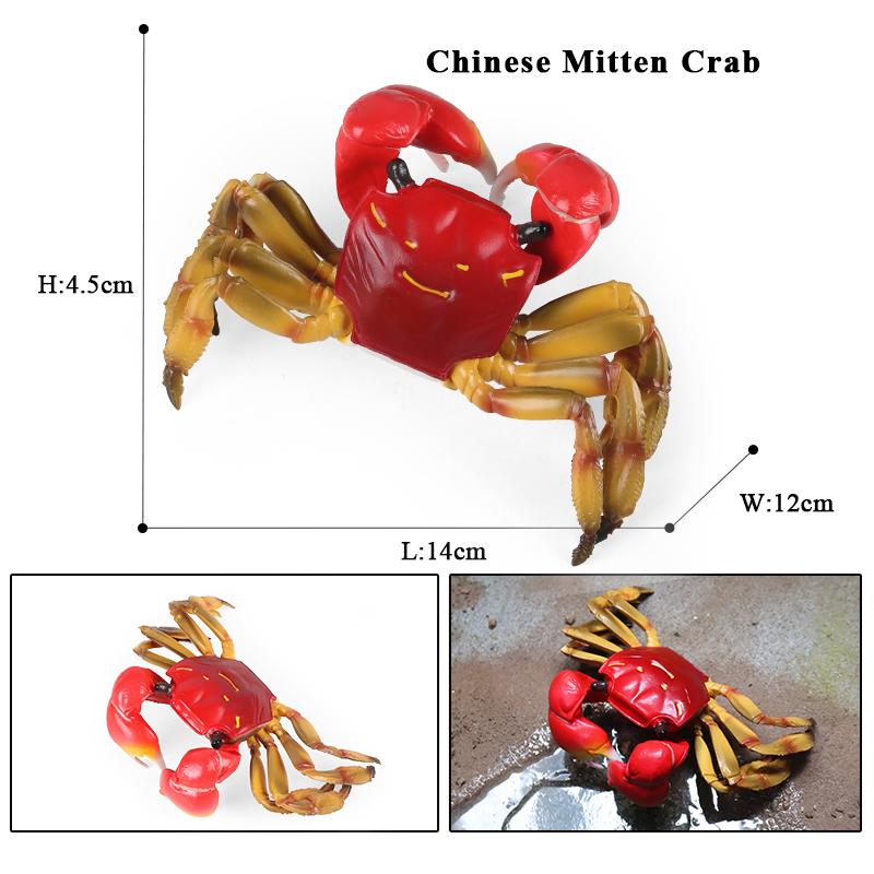 Oenux Simulation Ocean Sea Life Animals Model Lovely Crab Action Figures Toy Cake Toppers Collection Jouet Kids Education Gift