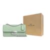 Coach Eliza 22 Flap Chain Shoulder Bag Lizard Embossed Leather Small Women shoulder bag Silver Light-Green CR106-SVA5