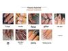 3D Butterfly Knot Wearable Red Blush Almond French Manicure Fake Nails