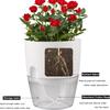 Transparent Plastic Lazy Flower Pot With Double-layer Design And Elegant, Featuring Self-watering Function And Cotton Rope For Drainage.