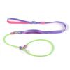 Leashes Pet Dog Choking Rope Leash Collar P-Shaped Chain Slip Lead Control Leash for Small Large Competition Dogs