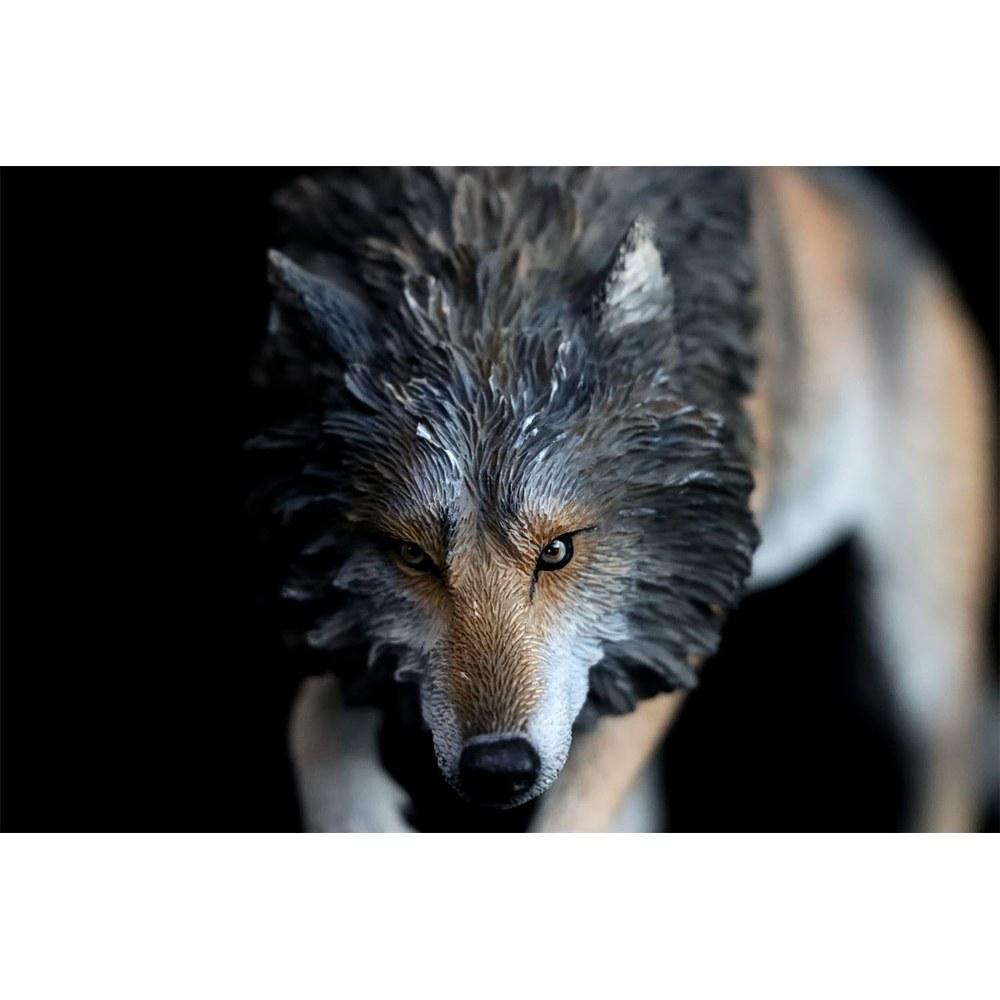 BACALYSO 1/6 Coyote Wolf Figure 20cm PVC Realistic Animal Model Painted Finished Product 126A