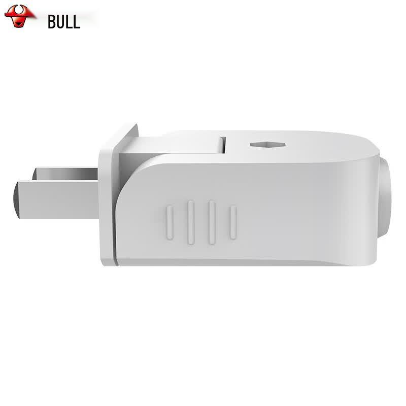 BULL 10A Two-Pin Rotating Power Plug CN plug (adapter included)