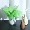 25-30cm Large Ostrich Feather for Wedding Bouquet or Photo Decoration